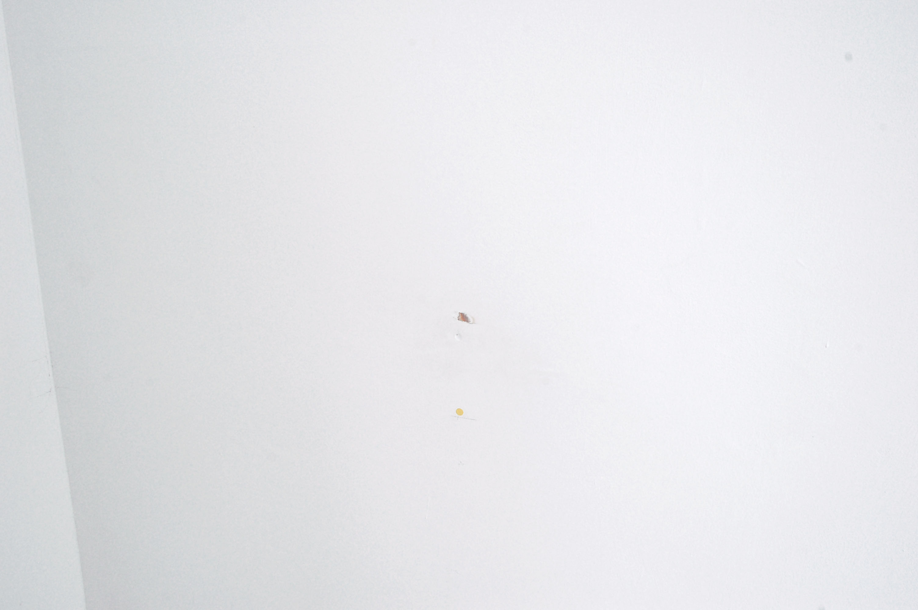 8b dsc_0222i edit crop