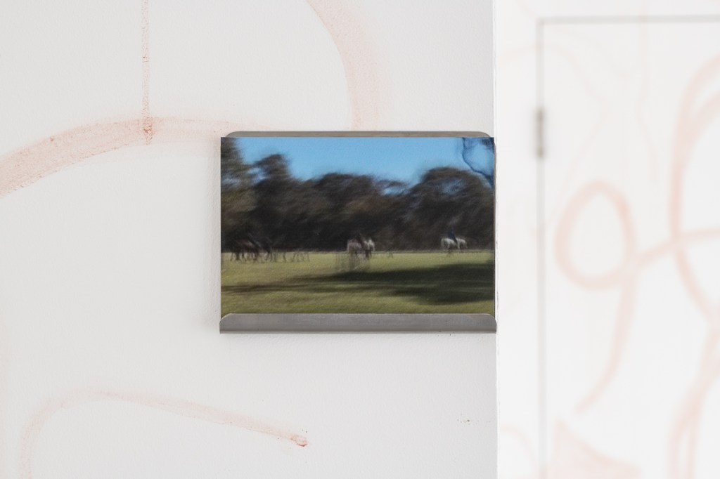 This image has an empty alt attribute; its file name is dsc2878lr.jpg