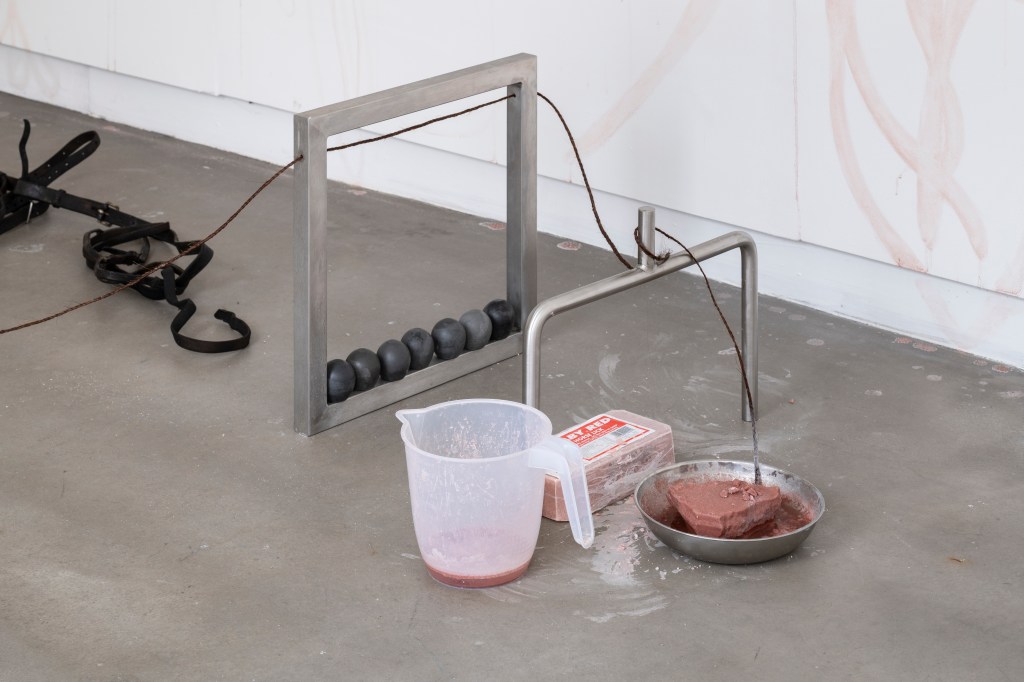 This image has an empty alt attribute; its file name is dsc2879hr.jpg