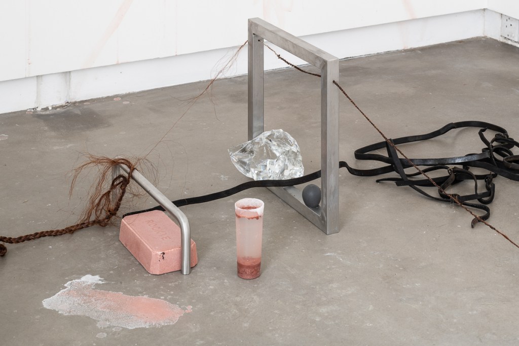 This image has an empty alt attribute; its file name is dsc2881lr-1.jpg