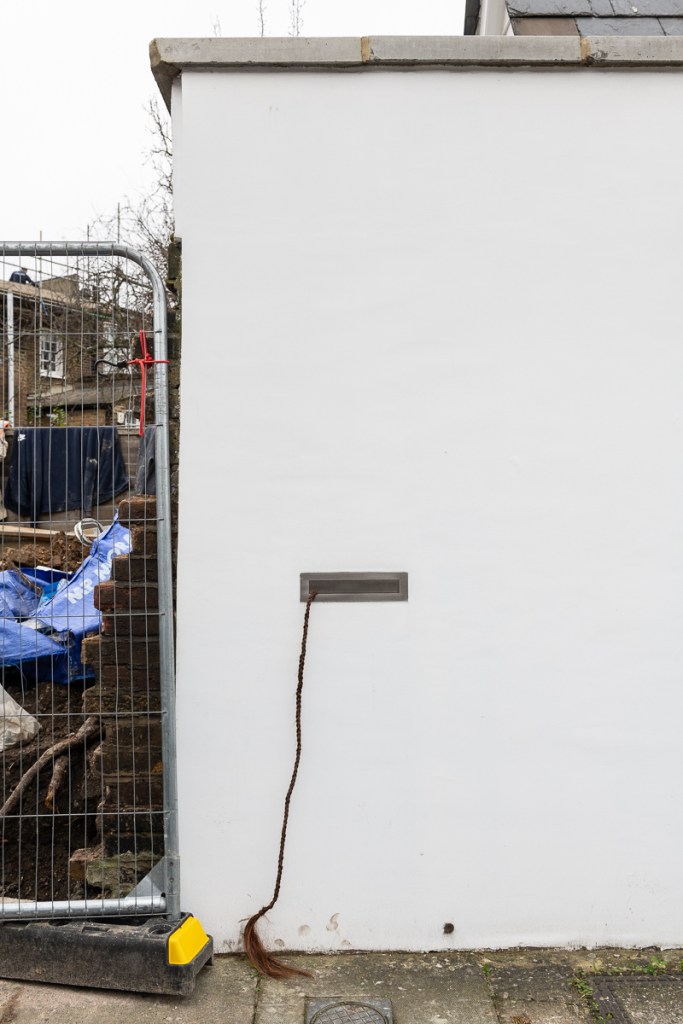 This image has an empty alt attribute; its file name is dsc2887lr.jpg